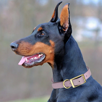 Dogline Viper Biothane Waterproof Dog Collar - Brass Hardware - Size XS (9" - 12")