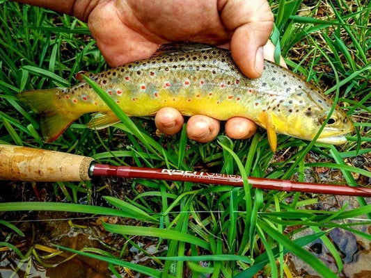 Risen Fly - Genesis Fly Rod