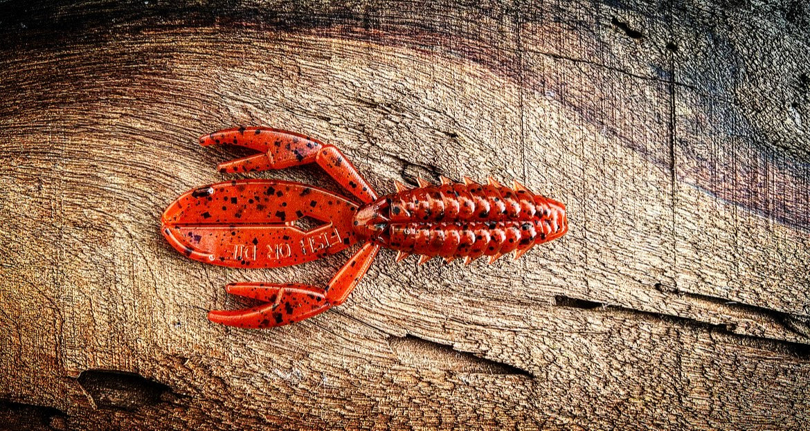 Fish or Die The Sherman