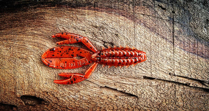 Fish or Die The Sherman