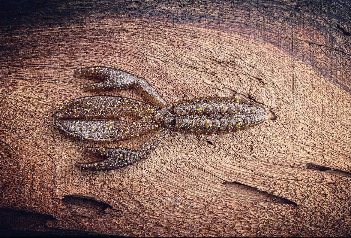 Fish or Die The Sherman