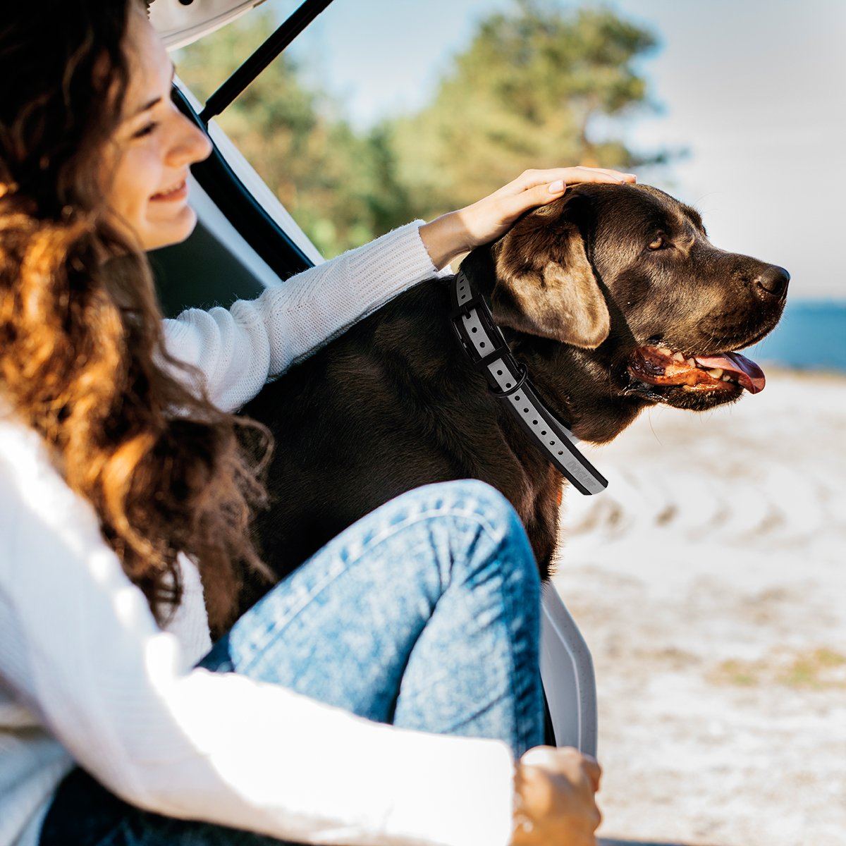 Dogline Biothane E-Collar Replacement Reflective Strap