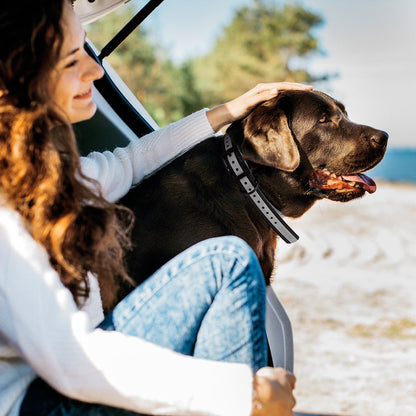 Dogline Biothane E-Collar Replacement Reflective Strap