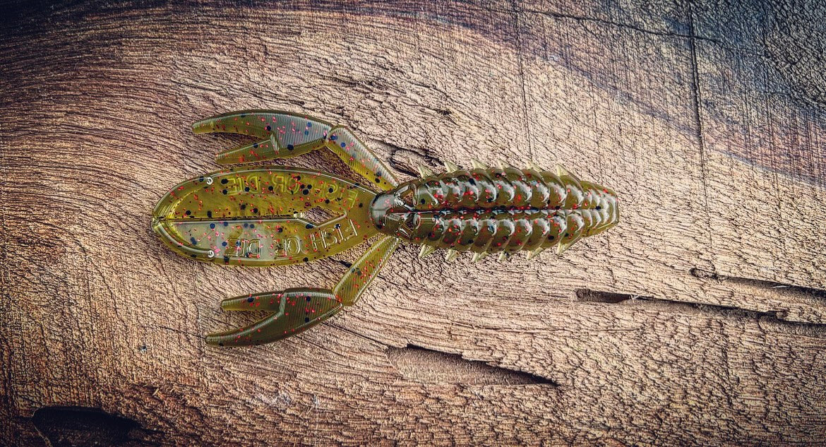 Fish or Die The Sherman