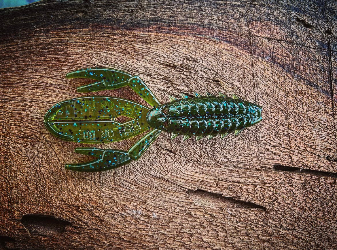 Fish or Die The Sherman