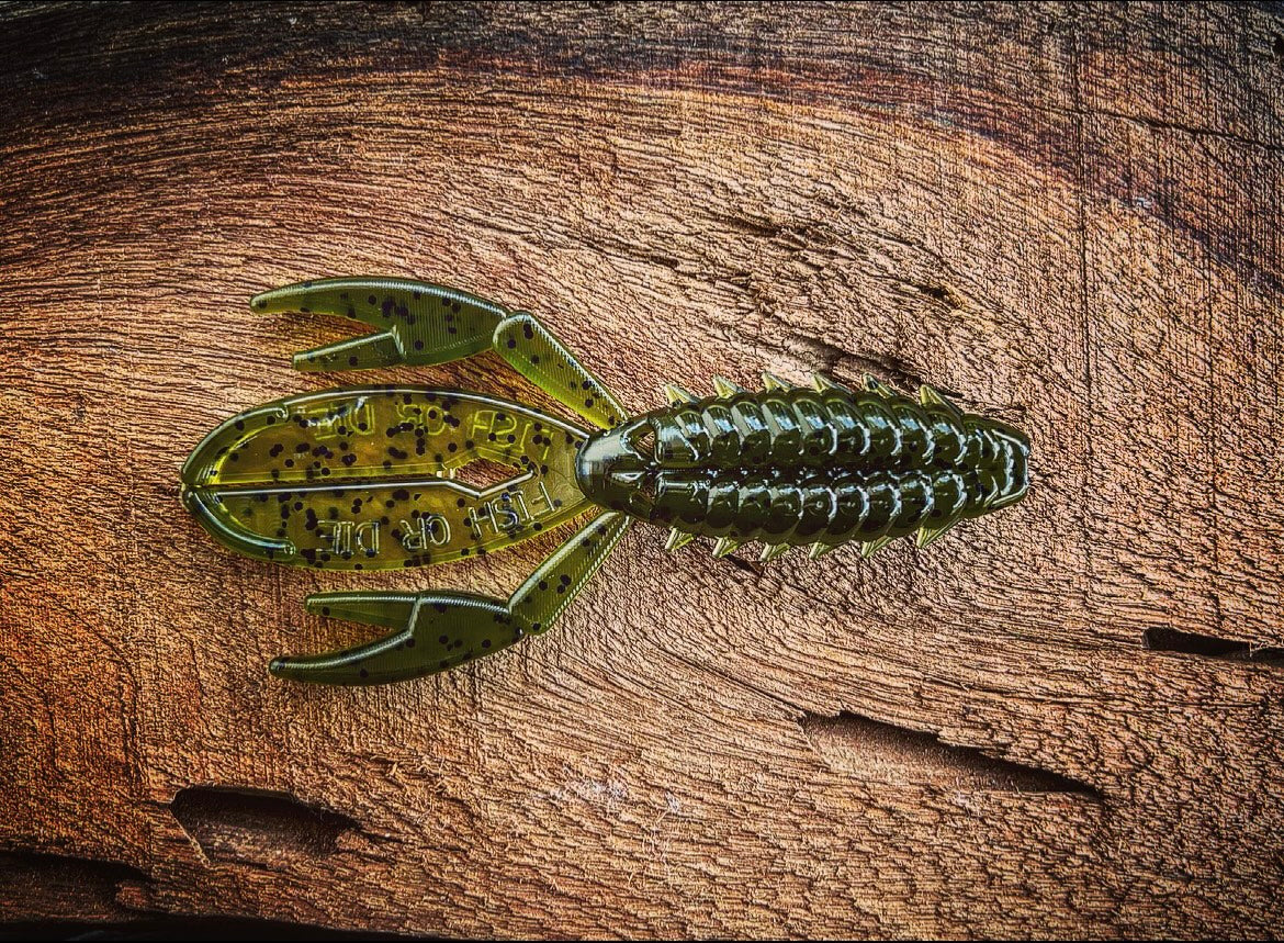 Fish or Die The Sherman