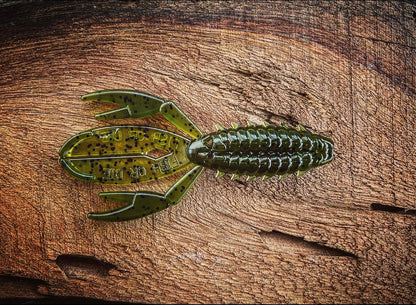 Fish or Die The Sherman