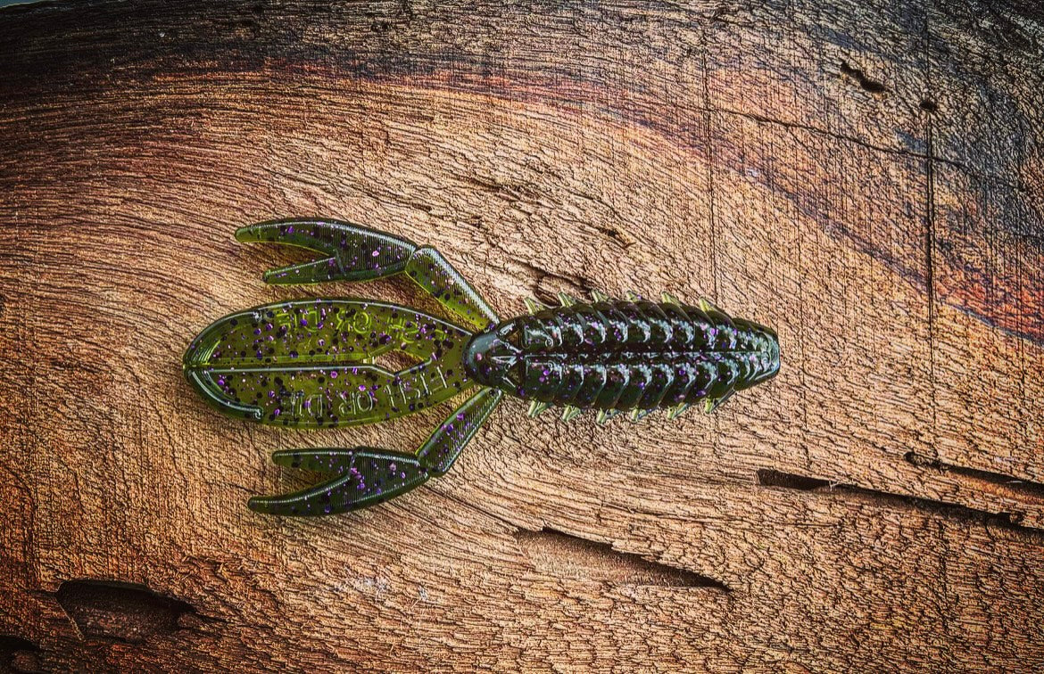 Fish or Die The Sherman