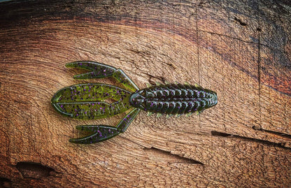 Fish or Die The Sherman