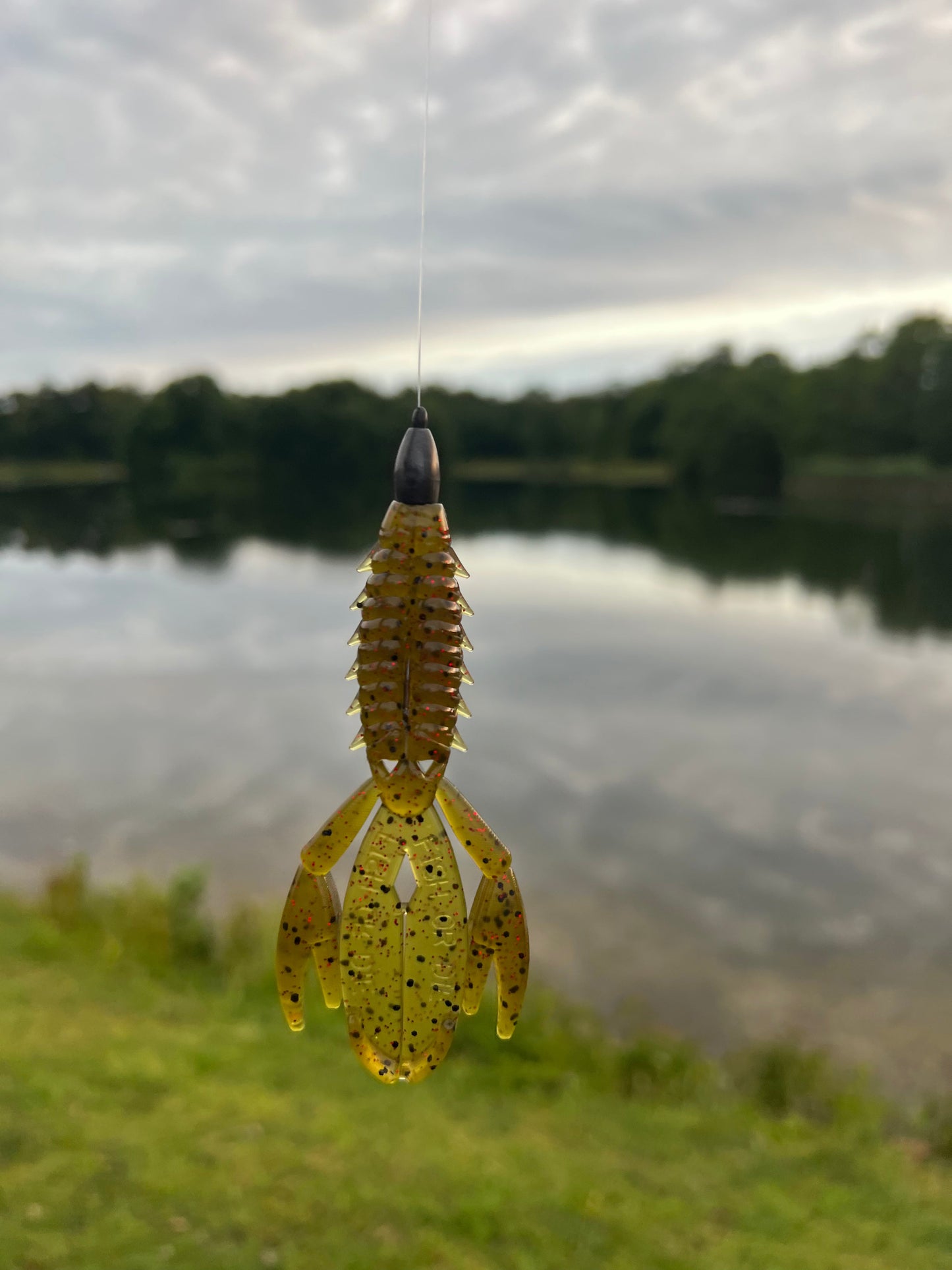 Fish or Die The Sherman