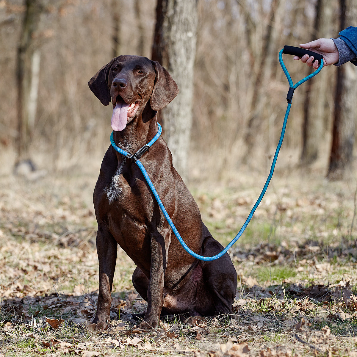 Dogline Round Nylon Slip Lead