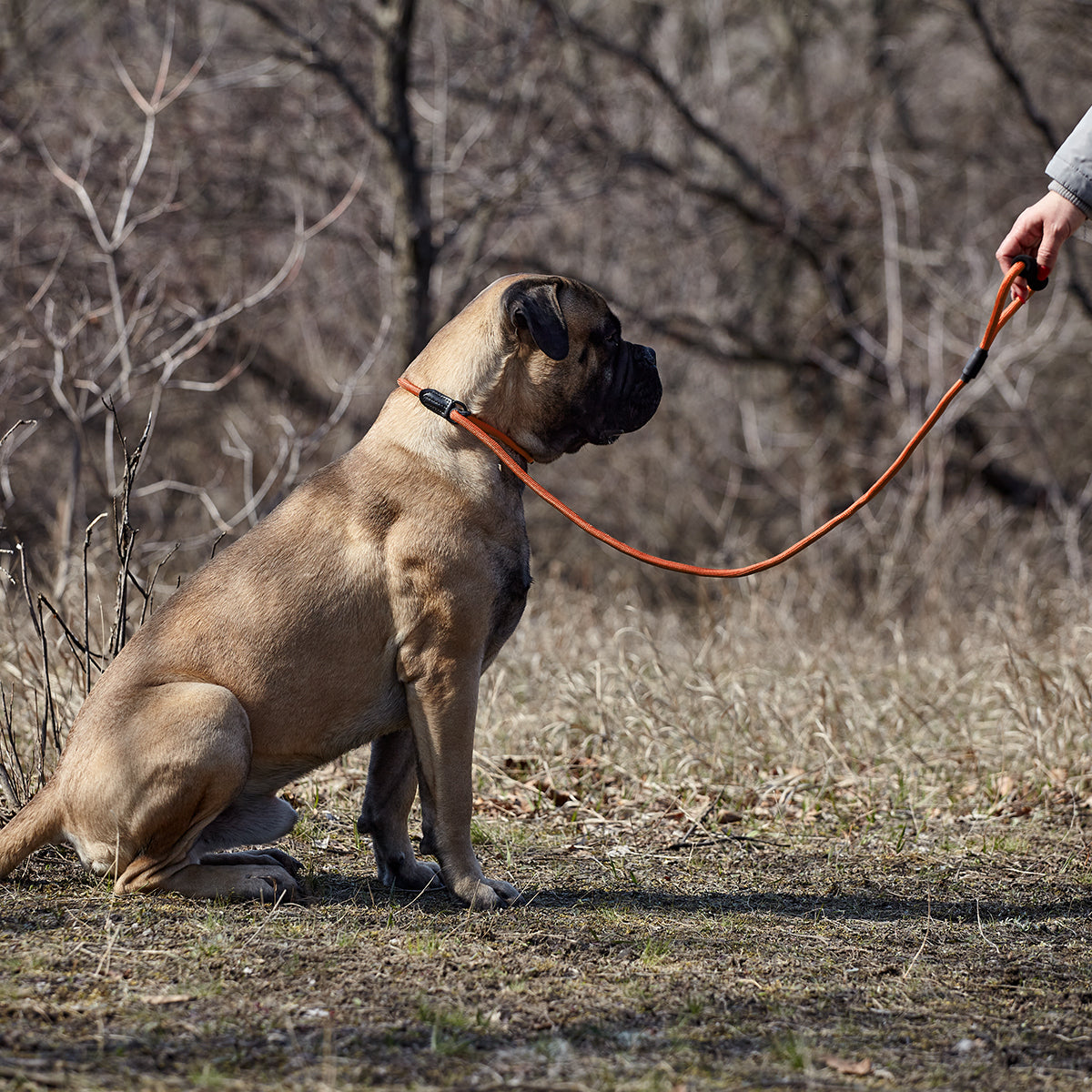 Dogline Round Nylon Slip Lead