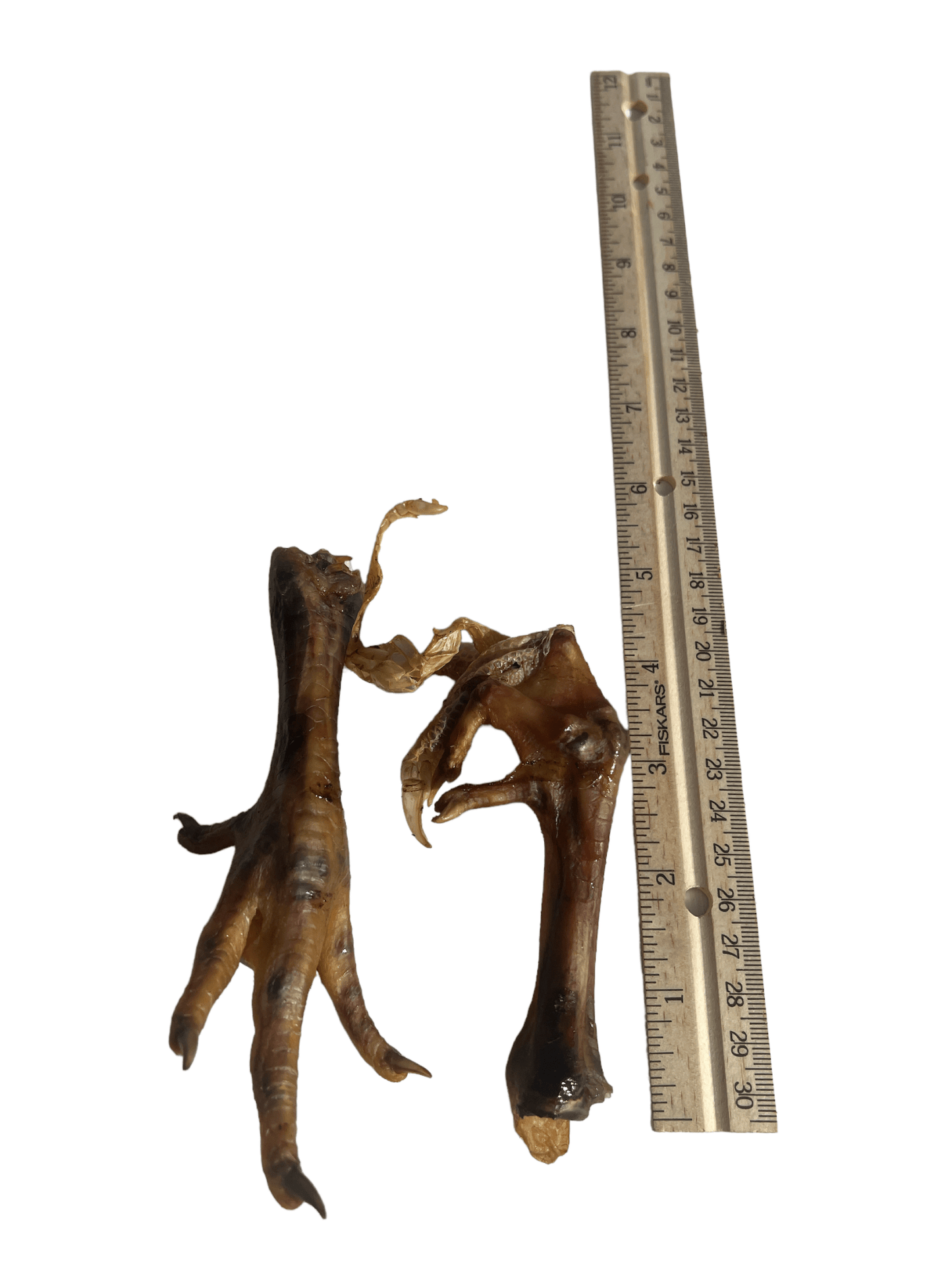 Jack's Premium Dehydrated Chicken Feet - Angler's Pro Tackle & Outdoors