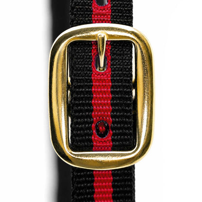 Jeffers Padded Nylon Horse Halter with Throat Snap