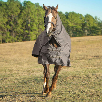 Jeffers Poplar Head "Defense" 1680 Denier Turnout Blanket with Detachable Neck, 240 Gram, Plymouth Brown