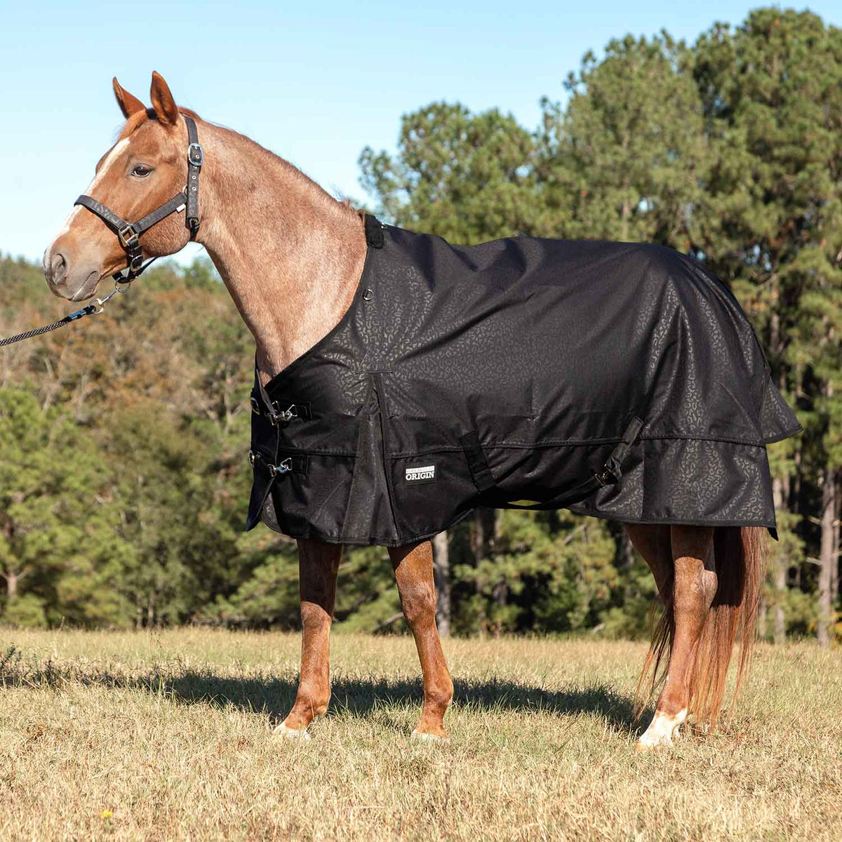 Jeffers Poplar Head "Origin" 600D Medium Weight Turnout Blanket, 240g | Waterproof & Breathable Horse Blanket