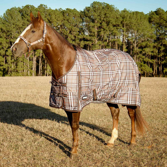 Jeffers Poplar Head "Refuge" 1200D Medium Weight Turnout Blanket, 240g - Waterproof, Breathable Horse Blanket