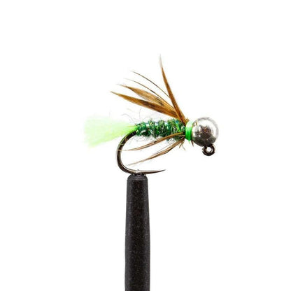 Jackson Hole Fly Co - Loaded Foam Fly Box - Euro Jig Nymph