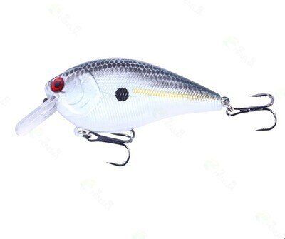 Just Lures Fishing Square Bill (0 - 5 ft.) - Sexy Shad - Angler's Pro Tackle & Outdoors