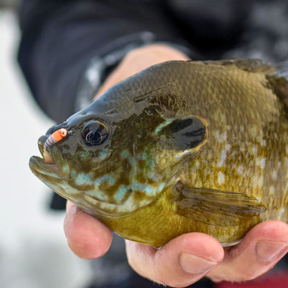 Kenders - Metallic Copper Orange White Tungsten Akua Jig Skud - Angler's Pro Tackle & Outdoors