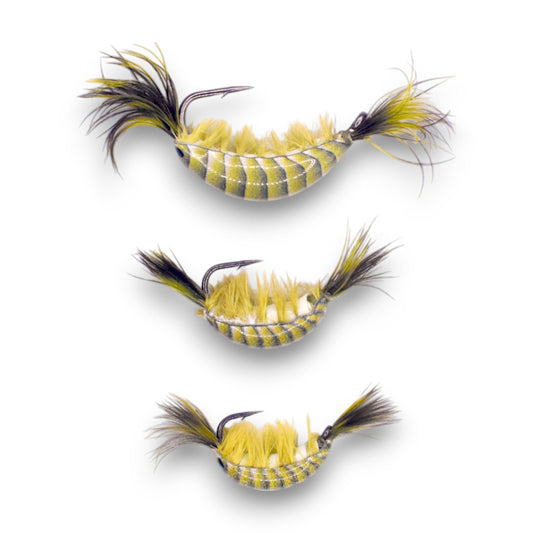 Kenders - Olive Green Tungsten Glow Natural Shrimp Series - Angler's Pro Tackle & Outdoors