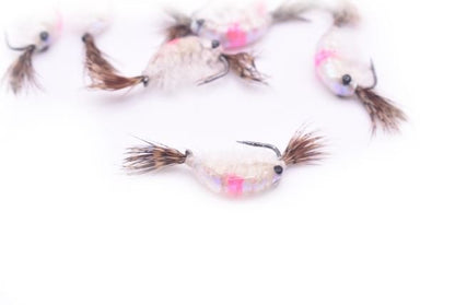 Kenders - Tungsten Hot Spot Shrimp - Angler's Pro Tackle & Outdoors