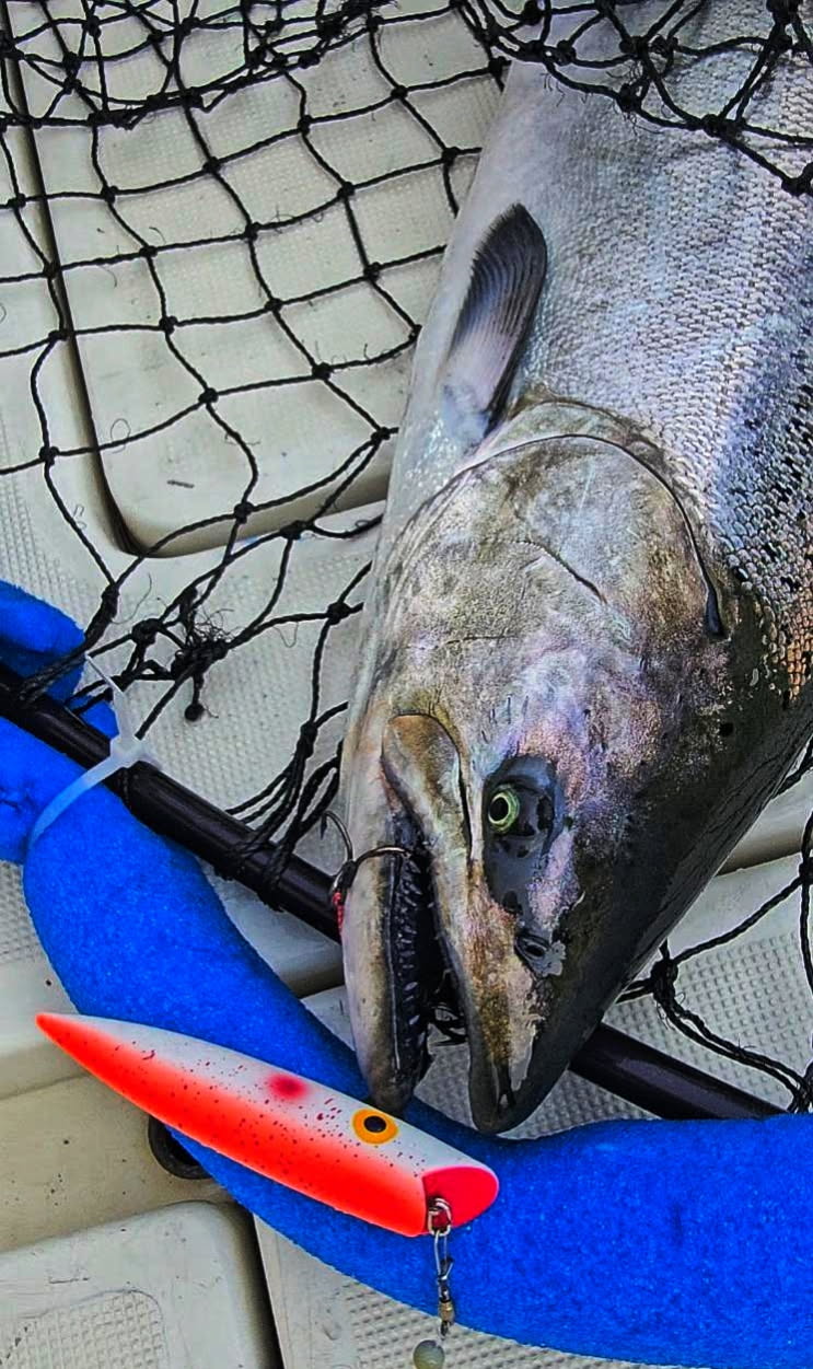 Ice Strong Outdoors - Killer Fish - Rattling TROLLING PLUG UV - NEW 2026 Colors Just Released!