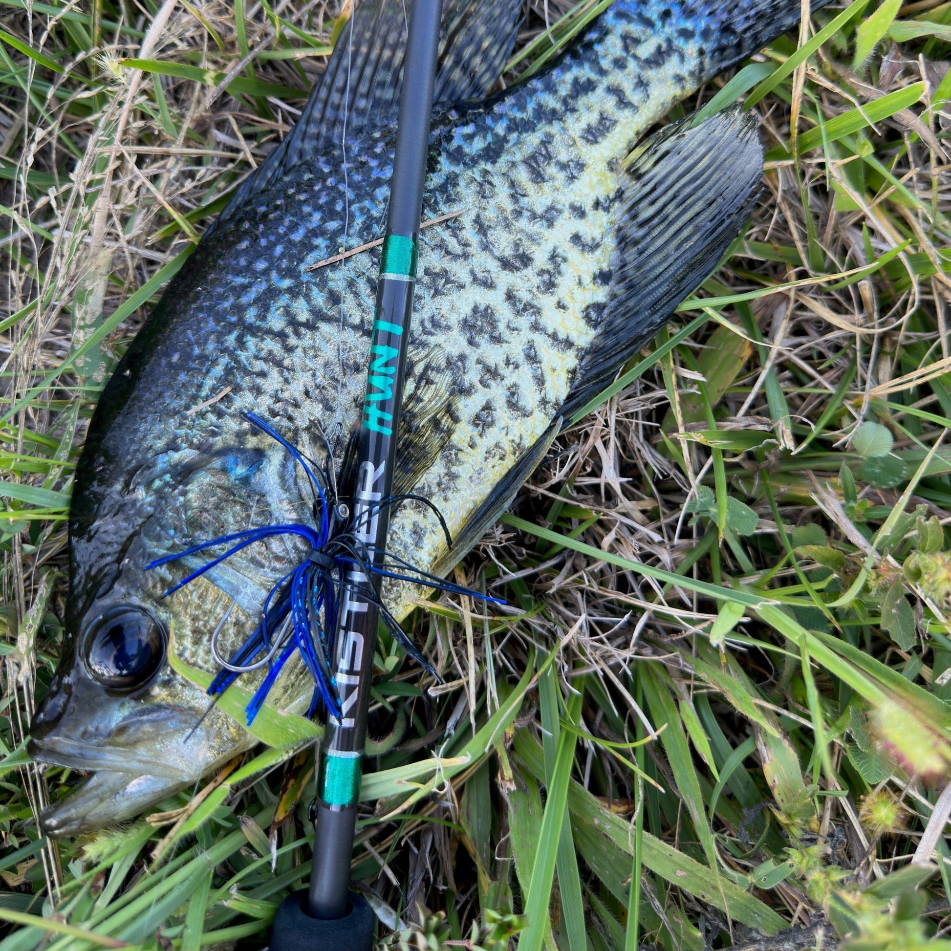 Kistler Hunt BFS Fishing Rods