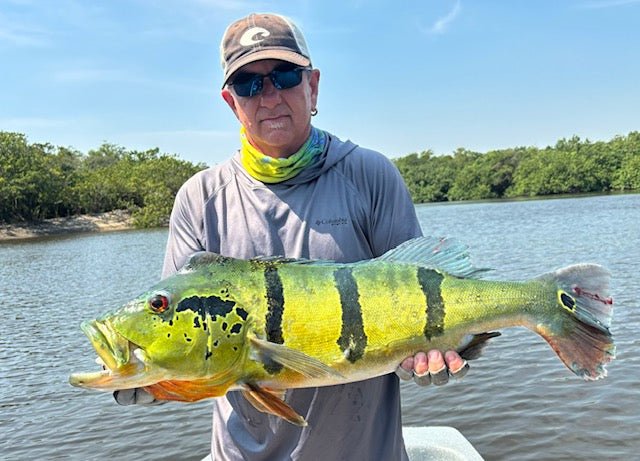 Kistler World Travel Series Fishing Rod - Angler's Pro Tackle & Outdoors