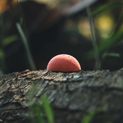 KLUK RED KLUK CHALK - Angler's Pro Tackle & Outdoors