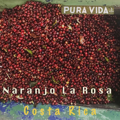 Koffee Kult Costa Rican Naranjo La Rosa - Medium Roast Coffee - Angler's Pro Tackle & Outdoors