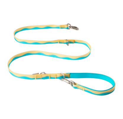 Springland Pets Waterproof Dog Leash - 5ft