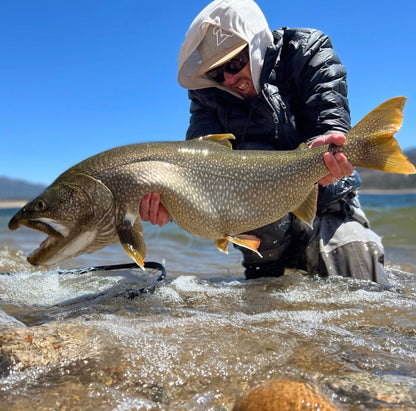 Lid Rig Cork Snapback - Angler's Pro Tackle & Outdoors