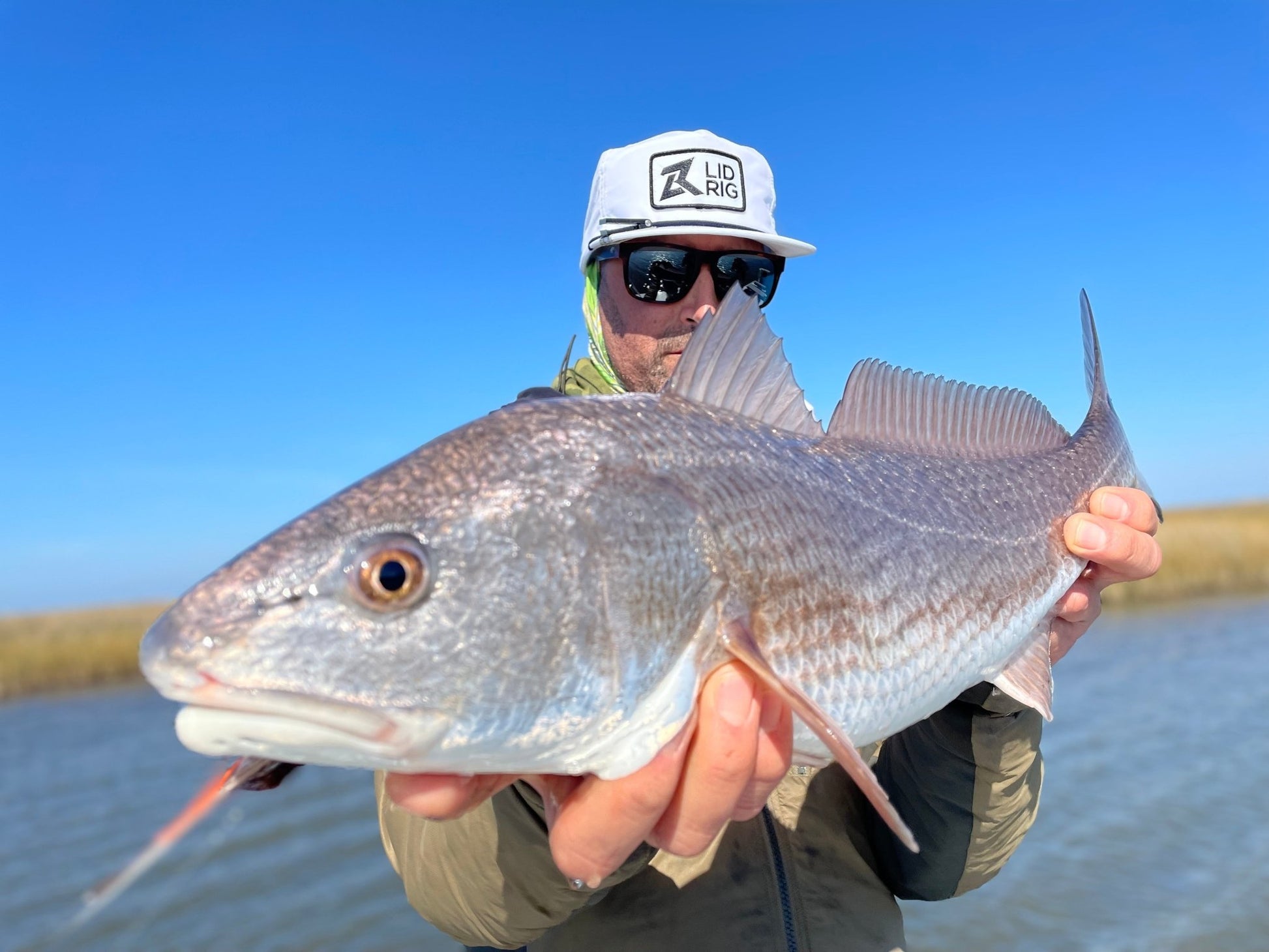 Lid Rig - The Seldom - White - Angler's Pro Tackle & Outdoors