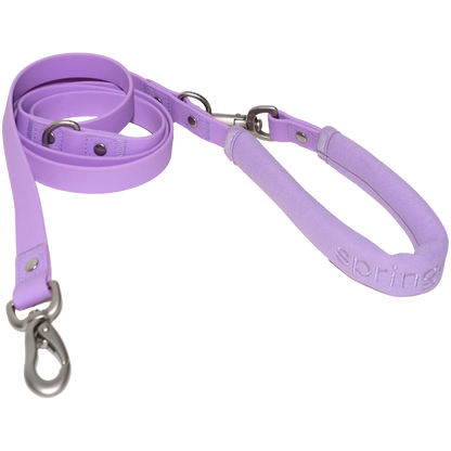 Springer Dog Leash