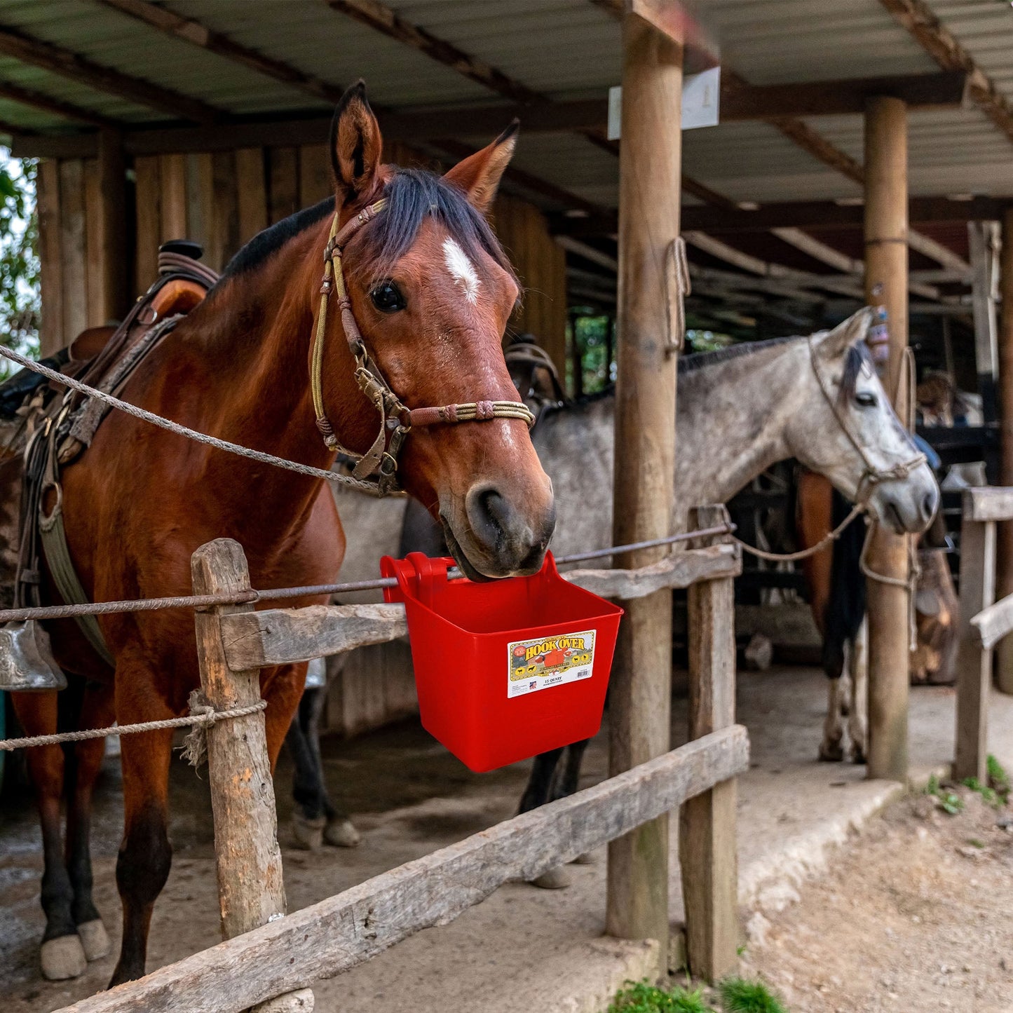Little Giant 15 Quart Mountable Livestock & Pet Hook Over Bucket Feeder, Red - Angler's Pro Tackle & Outdoors