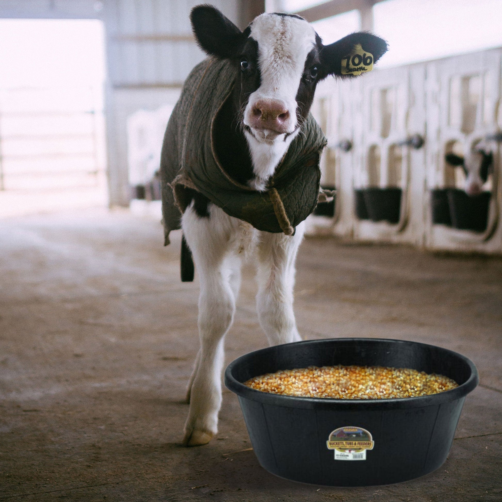 Little Giant Durable Weatherproof 6.5 Gallon Rubber Tub Feeder Pan Bowl, Black - Angler's Pro Tackle & Outdoors