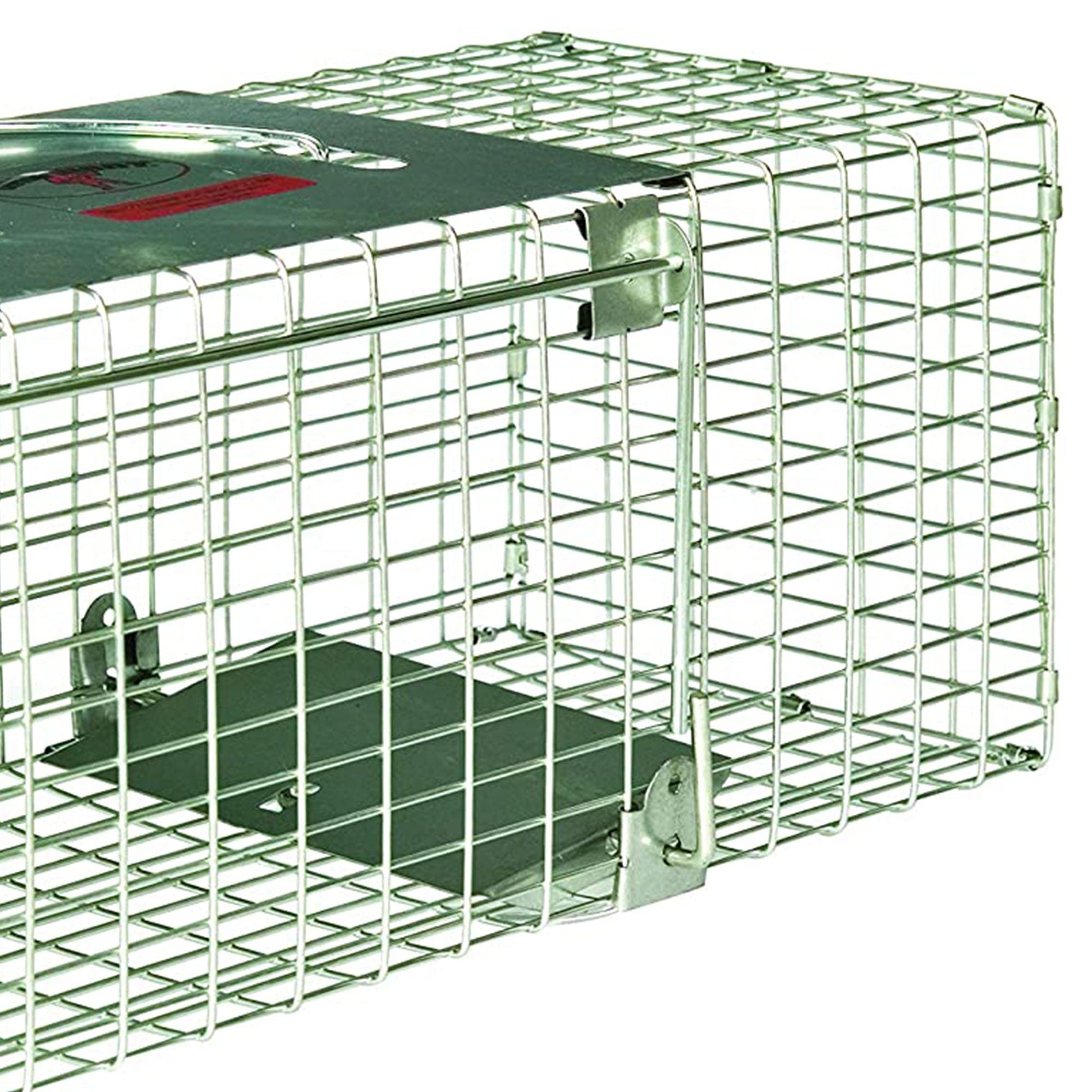 Little Giant LT1 18 Inch Reinforced Live Animal Trap with Single Door Entry - Angler's Pro Tackle & Outdoors