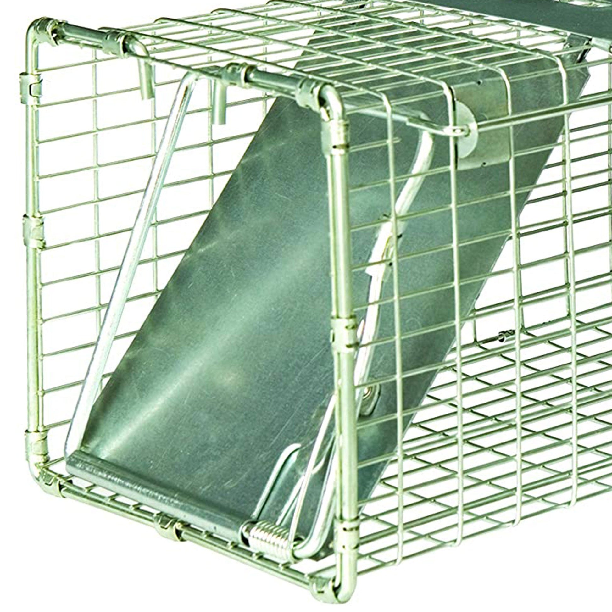 Little Giant LT1 18 Inch Reinforced Live Animal Trap with Single Door Entry - Angler's Pro Tackle & Outdoors