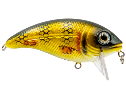 Livingston Lures Bull Nose - Angler's Pro Tackle & Outdoors