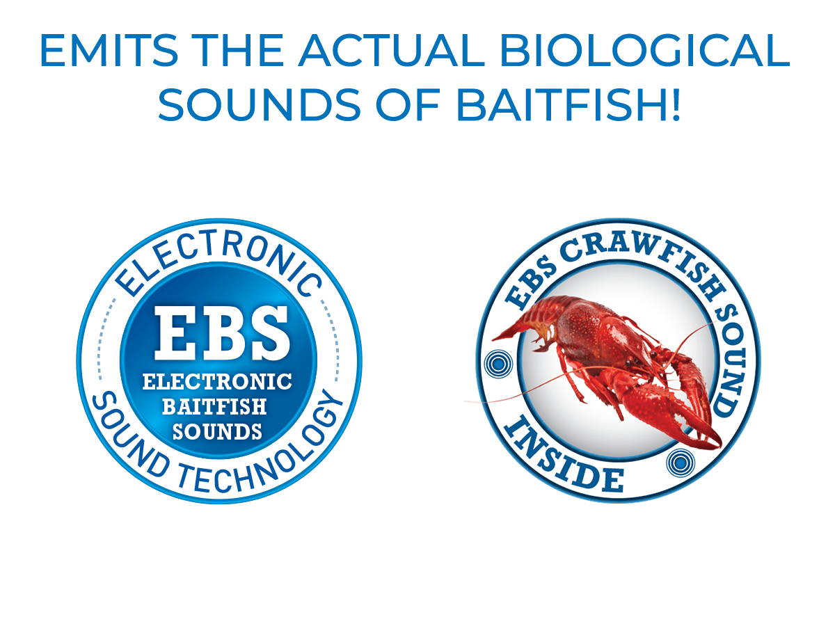 Livingston Lures Bull Nose - Angler's Pro Tackle & Outdoors