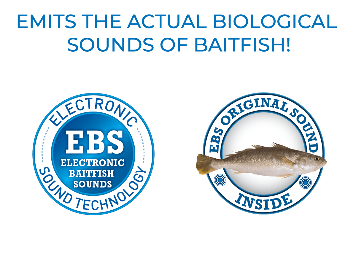 Livingston Lures Bull Nose - Angler's Pro Tackle & Outdoors