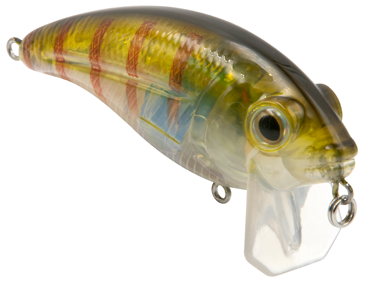 Livingston Lures Bull Nose - Angler's Pro Tackle & Outdoors