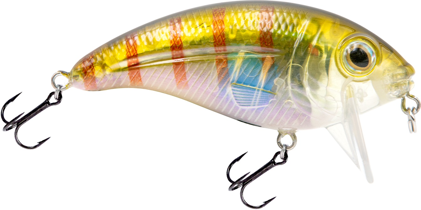 Livingston Lures Bull Nose - Angler's Pro Tackle & Outdoors