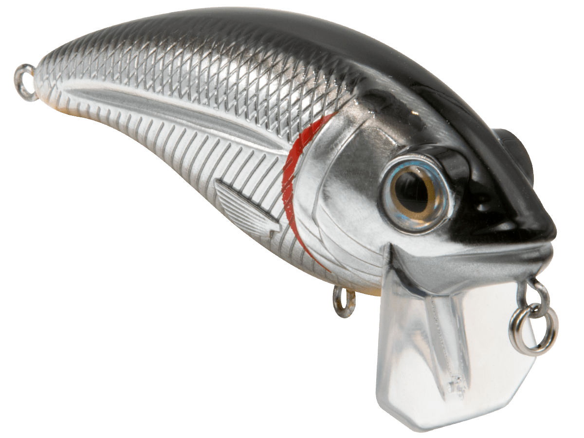 Livingston Lures Bull Nose - Angler's Pro Tackle & Outdoors