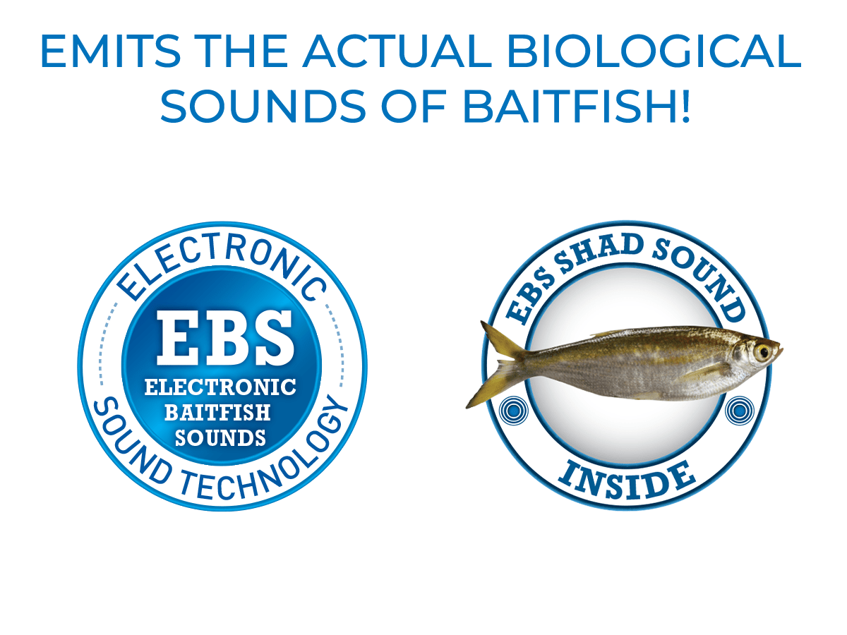 Livingston Lures Bull Nose - Angler's Pro Tackle & Outdoors