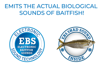 Livingston Lures Bull Nose - Angler's Pro Tackle & Outdoors