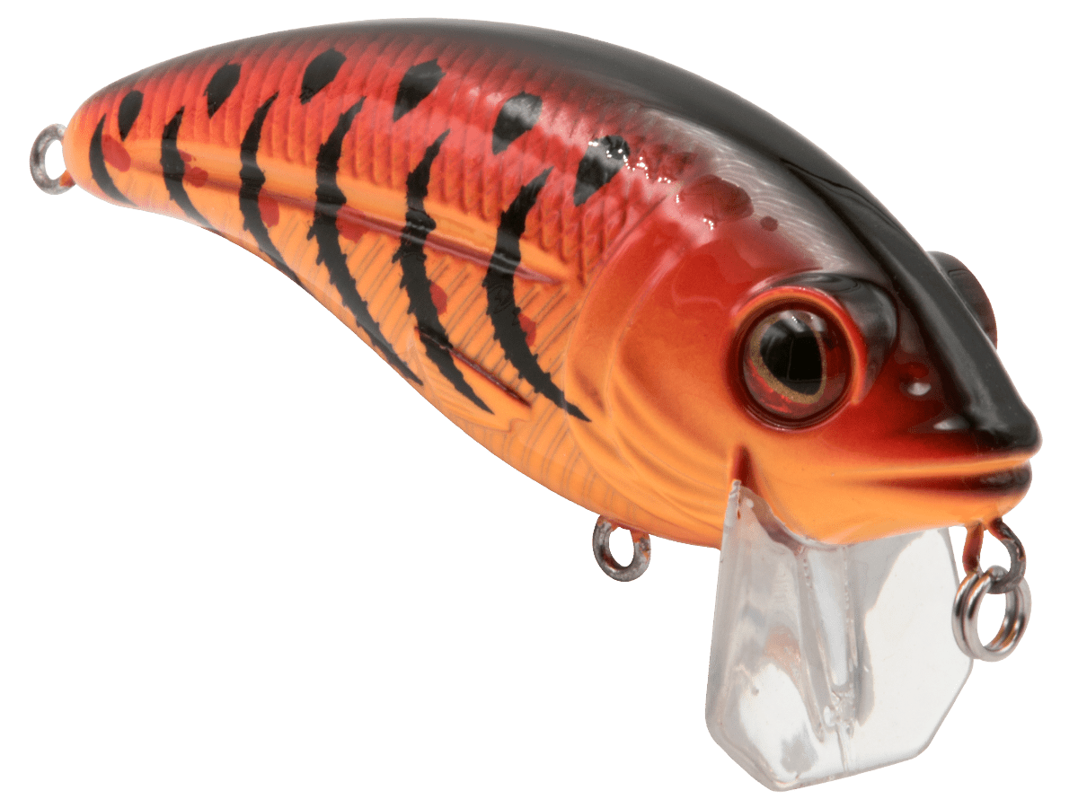 Livingston Lures Bull Nose - Angler's Pro Tackle & Outdoors