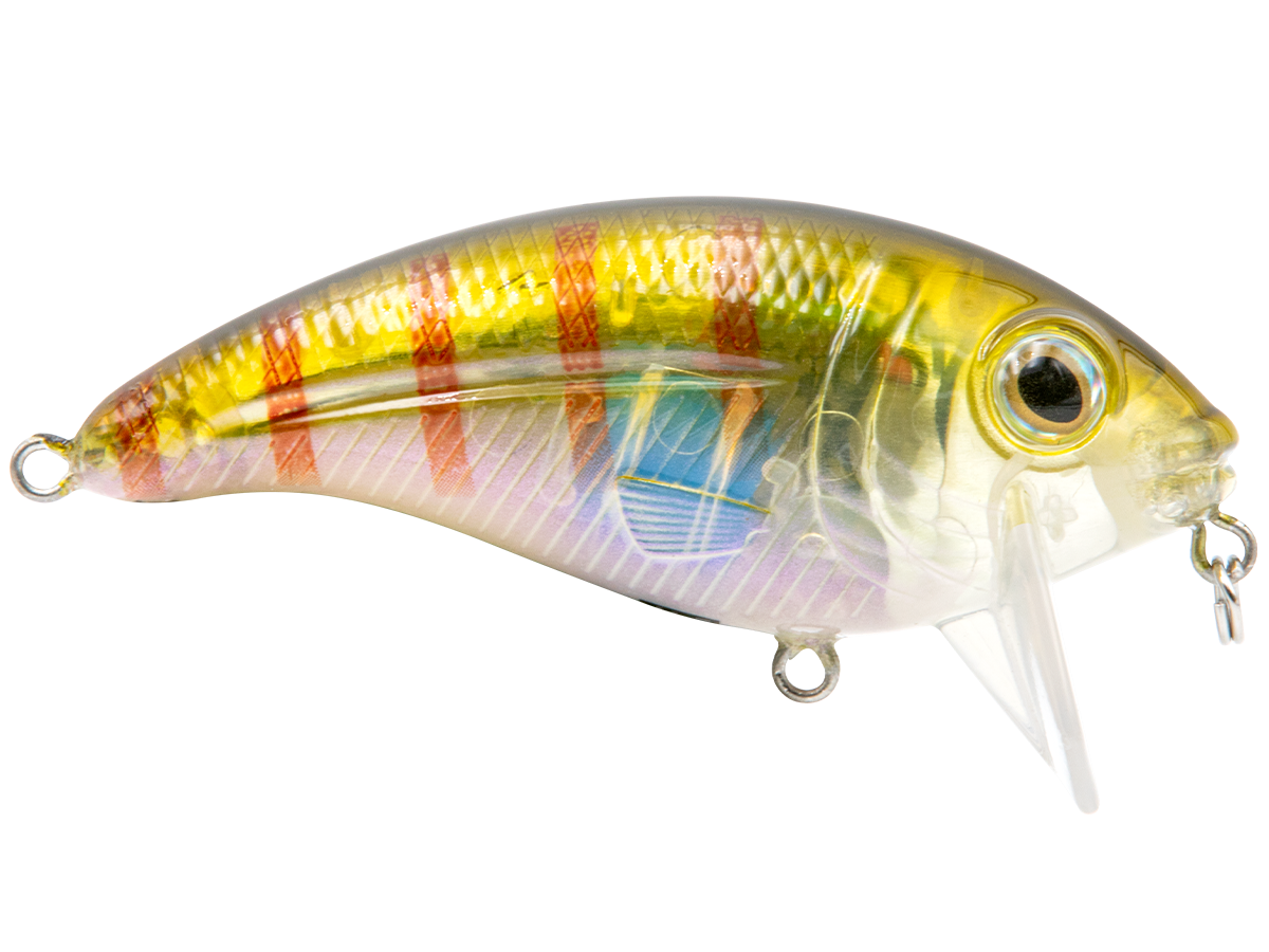 Livingston Lures Bull Nose - Angler's Pro Tackle & Outdoors