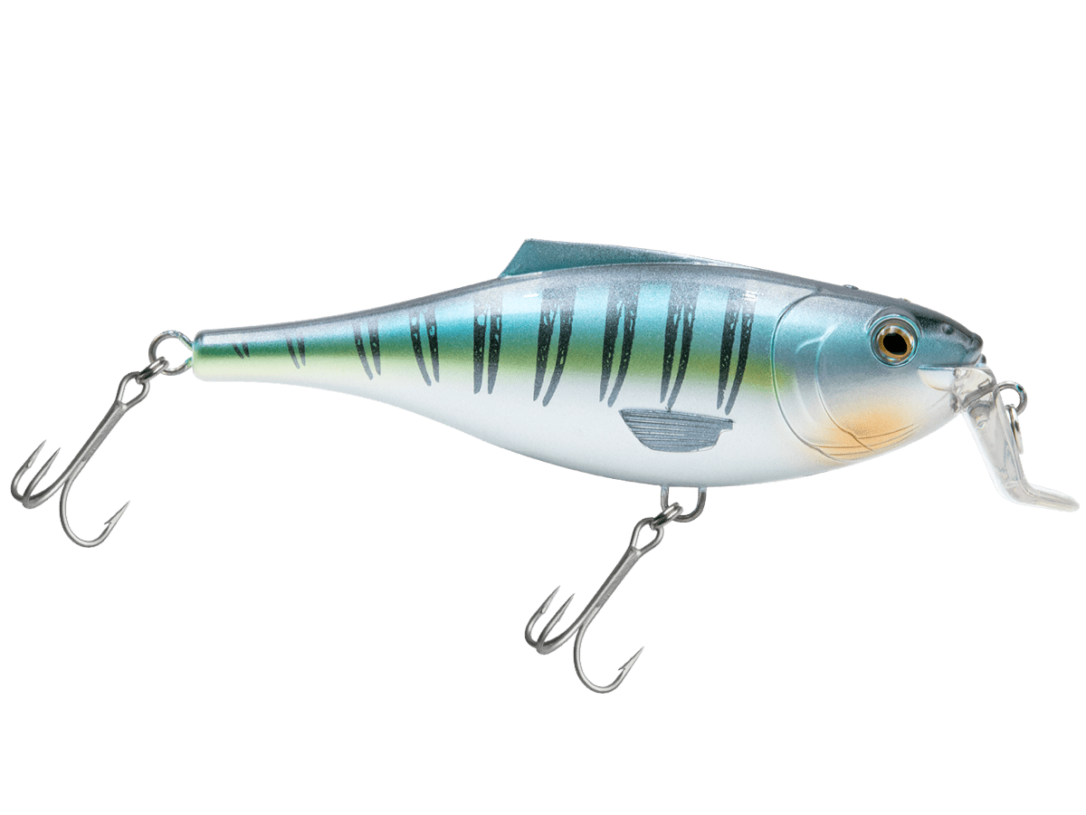 Livingston Lures BullDozer SW - Angler's Pro Tackle & Outdoors
